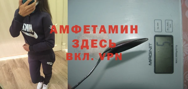 шишки Верхний Тагил